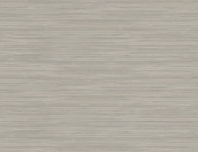 Picture of Geo Pampas Grasscloth Texture 27 - Prairie