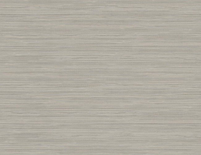 Picture of Geo Pampas Grasscloth Texture 27 - Prairie