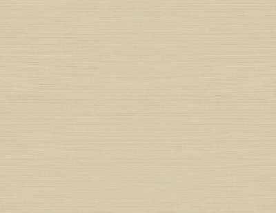 Picture of Moroccan Sisal Texture 27 - Fine Grains