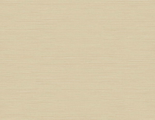 Picture of Moroccan Sisal Texture 27 - Fine Grains