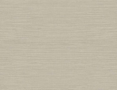 Picture of Moroccan Sisal Texture 27 - Agave