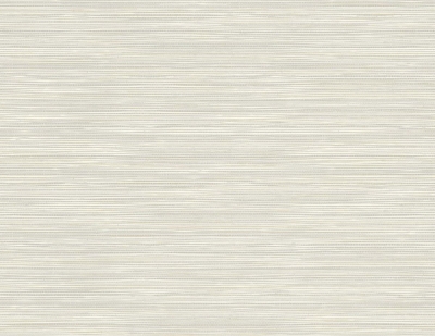 Picture of Geo Pampas Grasscloth Texture 27 - Morning Mist