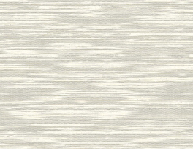 Picture of Geo Pampas Grasscloth Texture 27 - Morning Mist