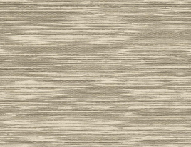 Picture of Geo Pampas Grasscloth Texture 27 - Rye Seed