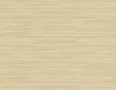 Picture of Geo Pampas Grasscloth Texture 27 - Harvest