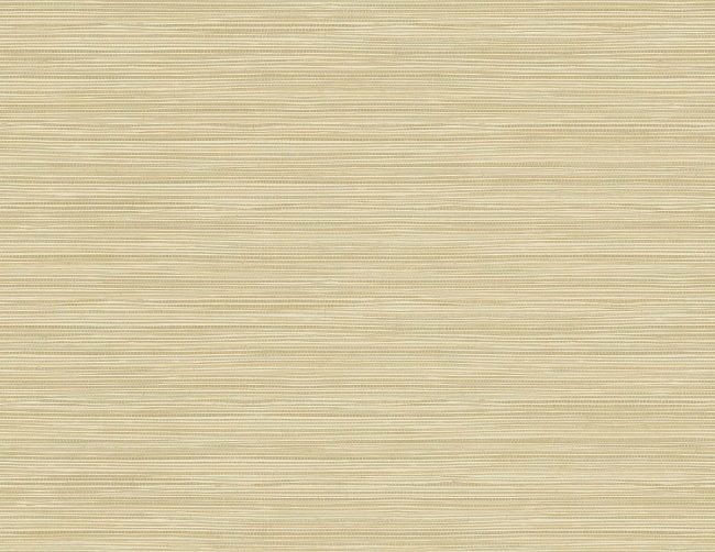 Picture of Geo Pampas Grasscloth Texture 27 - Harvest