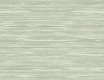 Picture of Geo Pampas Grasscloth Texture 27 - Meadow