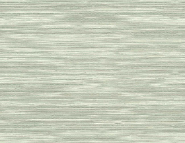 Picture of Geo Pampas Grasscloth Texture 27 - Meadow