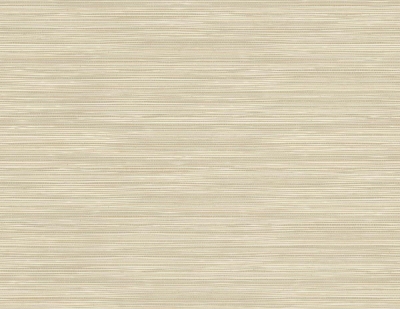 Picture of Geo Pampas Grasscloth Texture 27 - Driftwood Grey