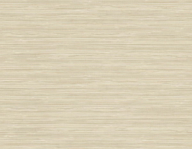 Picture of Geo Pampas Grasscloth Texture 27 - Driftwood Grey